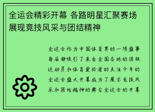全运会精彩开幕 各路明星汇聚赛场 展现竞技风采与团结精神